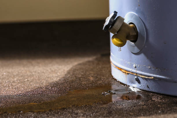 Best Water damage restoration near me  in Schriever, LA
