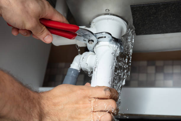 Best Fire Damage Restoration  in Schriever, LA