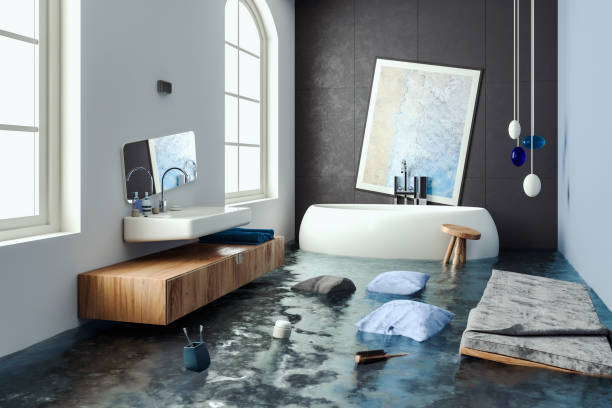 Best Mold removal after water damage  in Schriever, LA