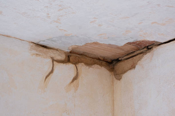 Fire Damage Restoration in Schriever, LA