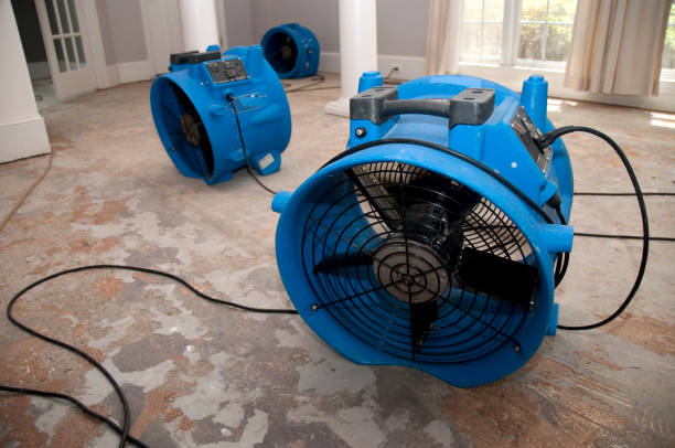 Best Sewage cleanup and water damage restoration  in Schriever, LA