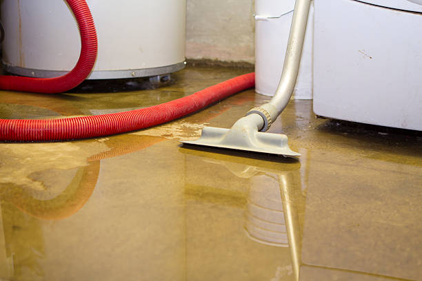 Best Commercial water damage restoration  in Schriever, LA