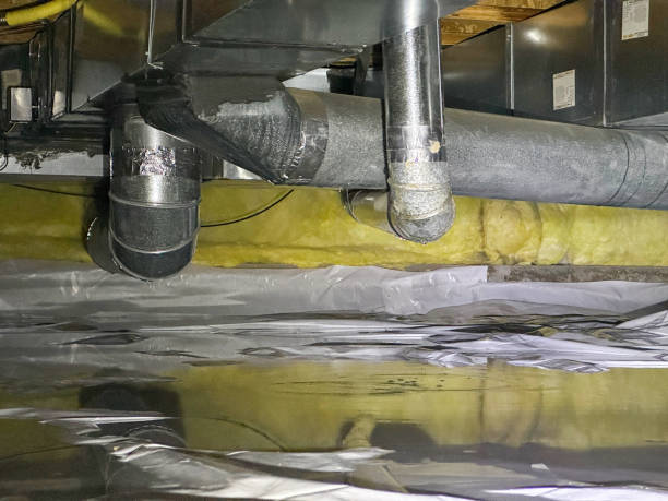 Best Sewage cleanup and water damage restoration  in Schriever, LA