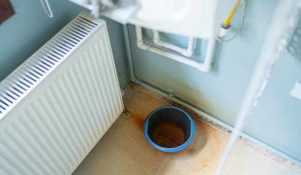 Best Flooded house restoration  in Schriever, LA