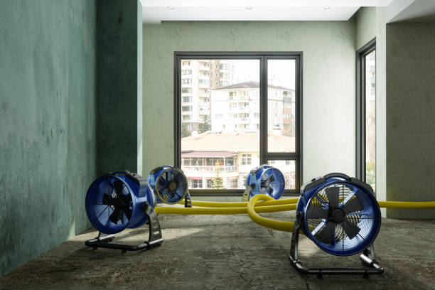 Best Emergency water damage restoration  in Schriever, LA